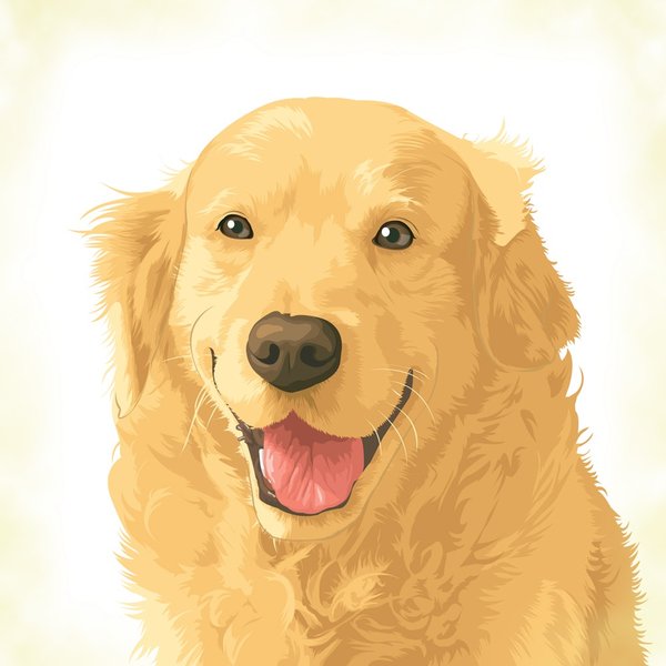 Golden_retriever_by_tsugami